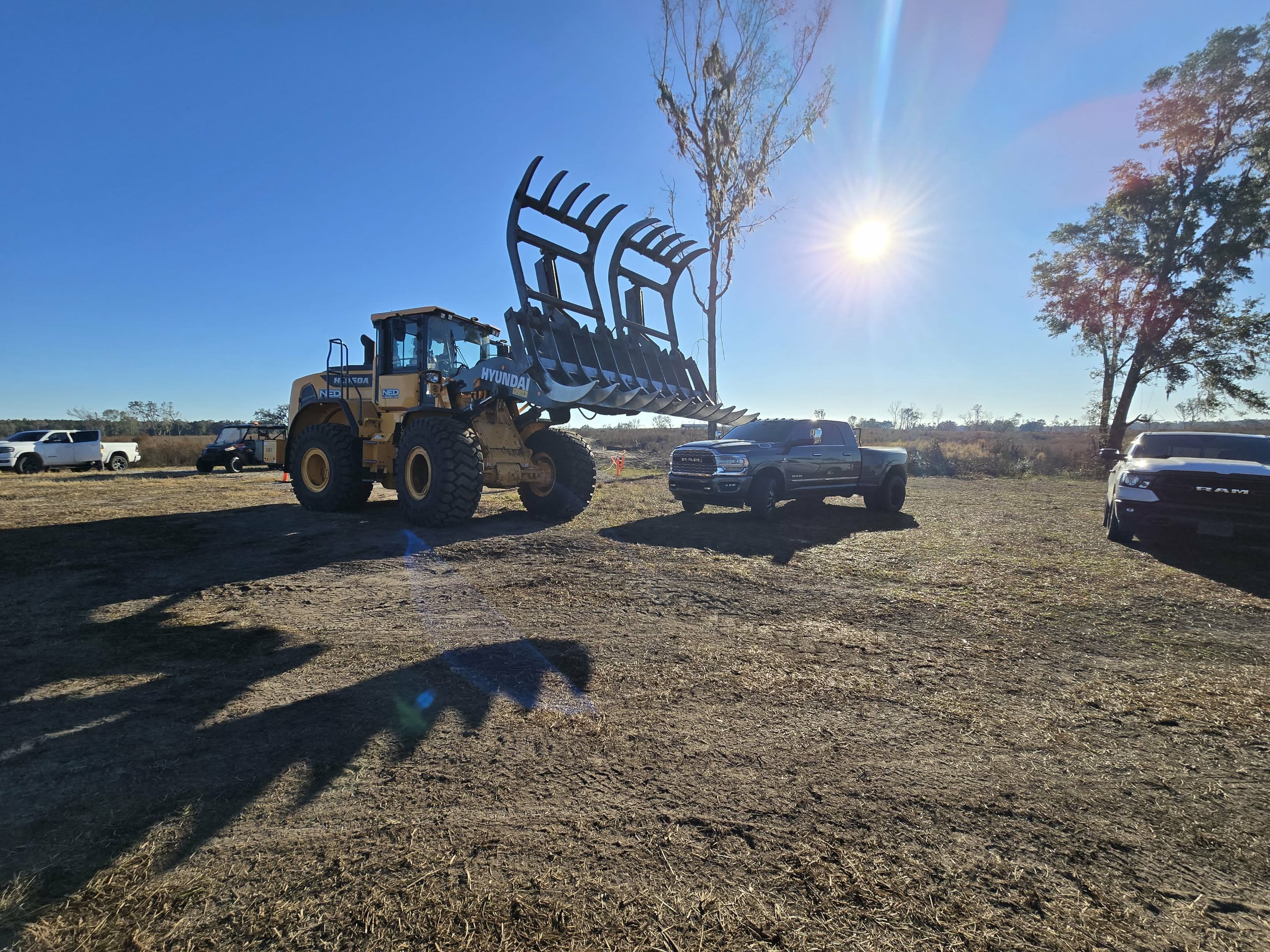 Land clearing project