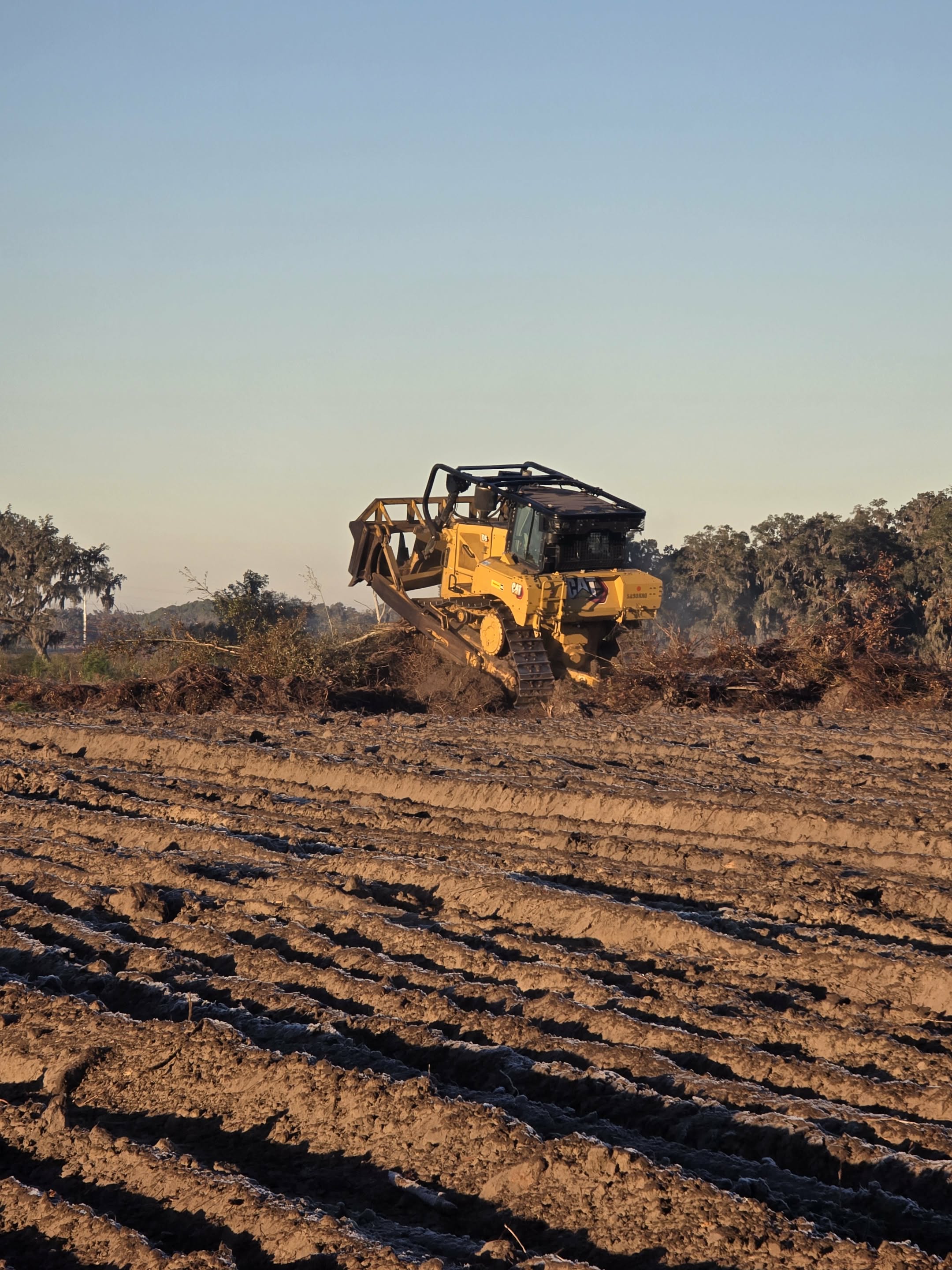 Land clearing project